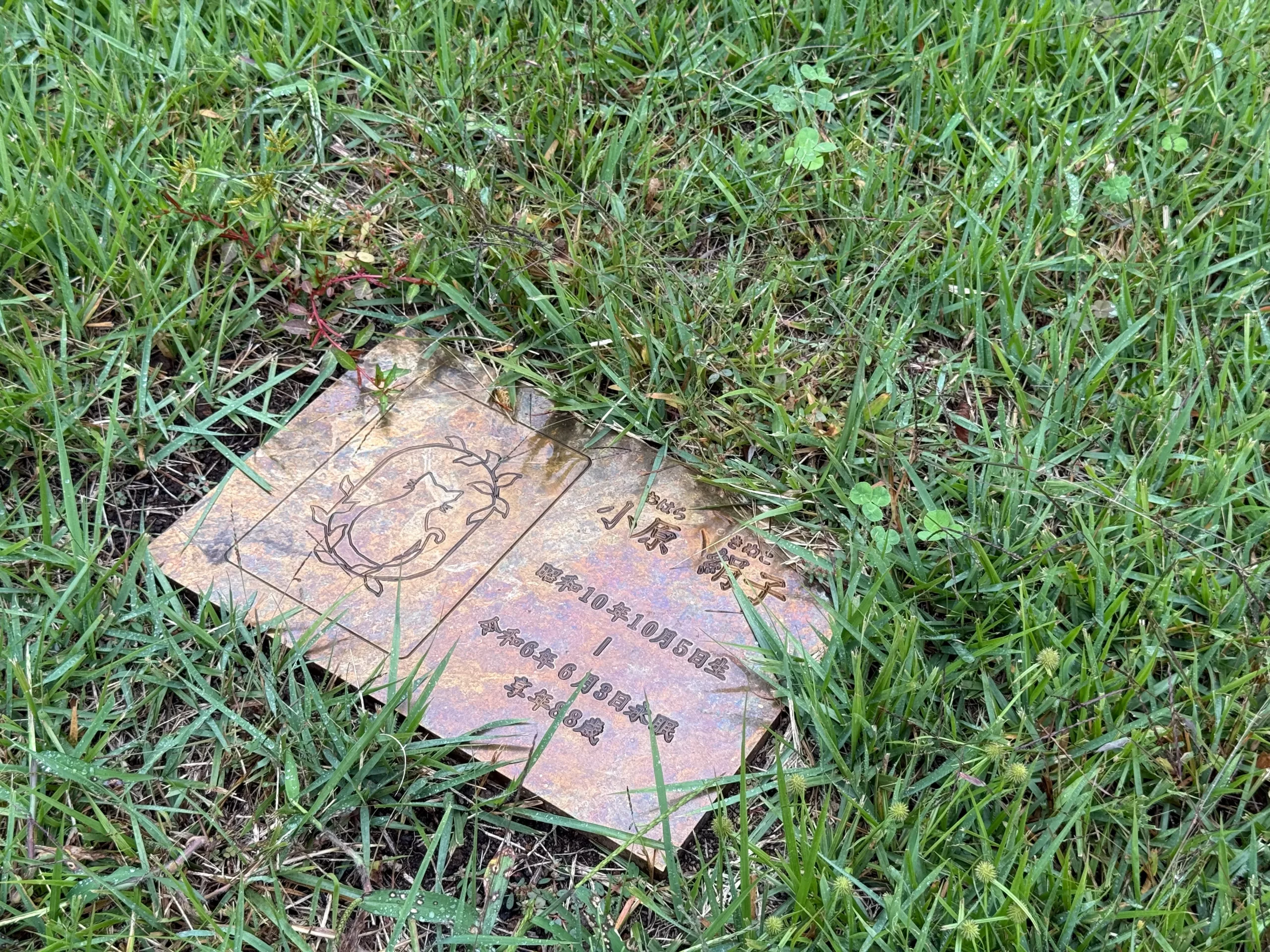 西軽井沢樹木葬霊園