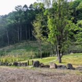 つばさの樹木葬